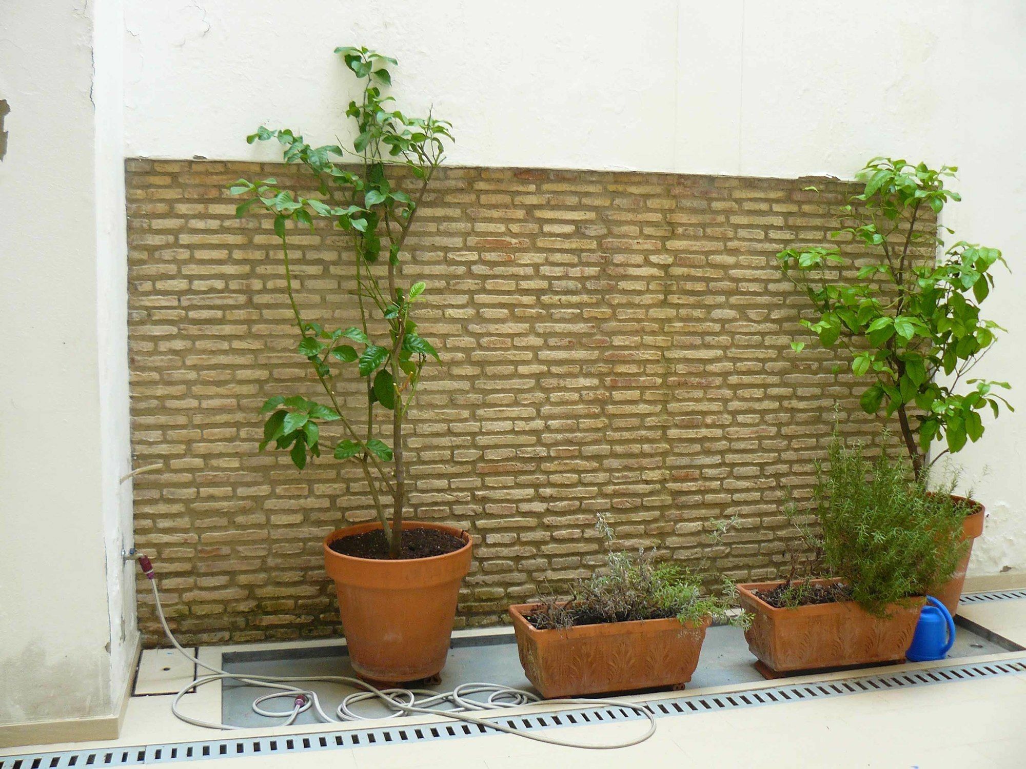 Alfaqueque * Seville